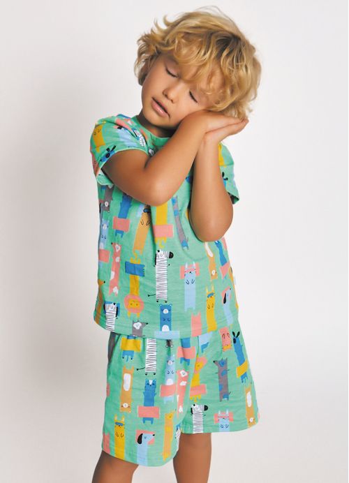 Conjunto Pijama Infantil Menino Bichinhos Compridinhos – Tam. 1 a 10 anos – Verde
