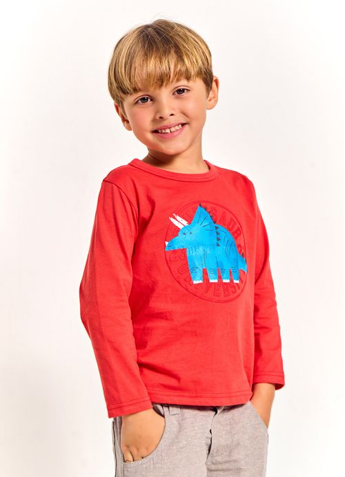 Camiseta Infantil Menino Estampa Animais - Tam. 2 a 12 anos – Azul e Vermelho