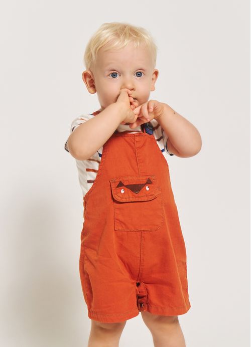 Jardineira Bebê Menino Estampa Senhor Raposo – Tam. 3 a 18 meses – Cravo