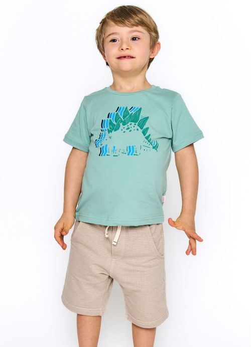 Camiseta Infantil Menino Estampa Dino - Verde